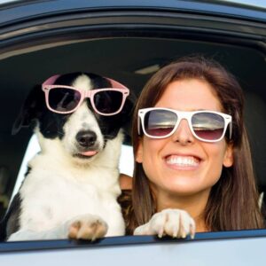 Snipegate All-Natural Doggy Shampoo